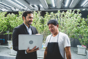 accounting for small business owners