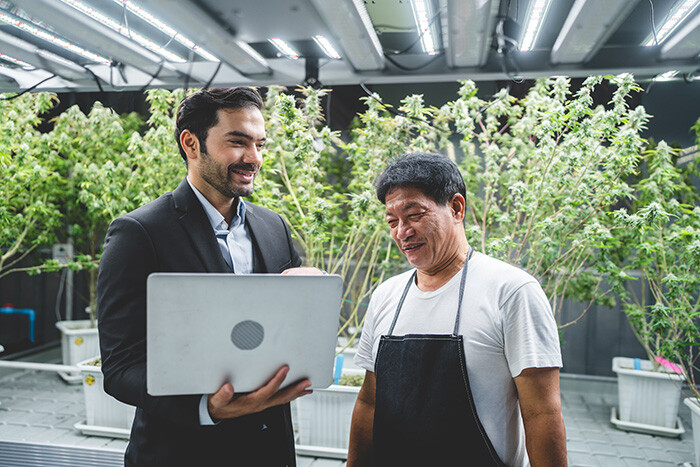 accounting for small business owners